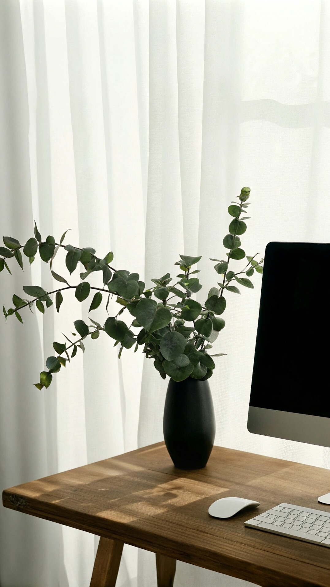 Laptop on a clean desk with a plant